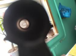 1 ств. ИЖ-18, кал.12