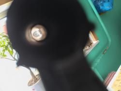 1 ств. ИЖ-18, кал.12