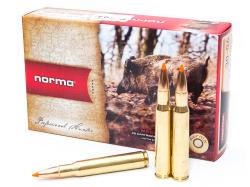 30-06 Norma 11,0g Tipstrike