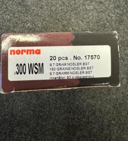 300WSM Norma, Nosler BST, 9.7g 180gr