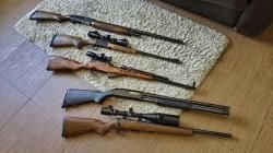 5 единиц оружия: МР-18МН, ОП СКС, Mossberg 500A, CZ ZKM 452-2E, МР-153