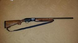 FAUSTI STEFANO PROGRESS