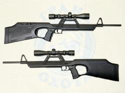Walther G22