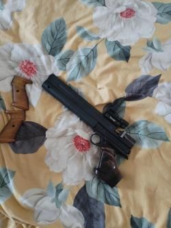 Анатомическая рукоять на Доберманн