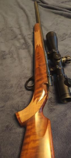 Anschutz 1717d