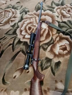 Antonio Zoli 243win