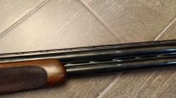 Antonio Zoli GC Expert