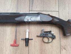 Antonio Zoli W&S1790