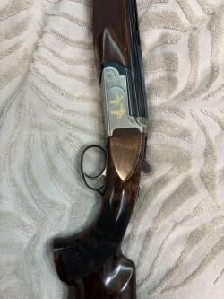 Antonio zolli columbus gold 12