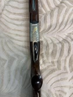 Antonio zolli columbus gold 12