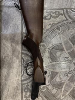 Antonio zolli gc expert