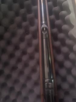 Антонио Золли