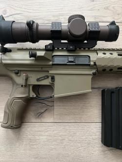 AR-10