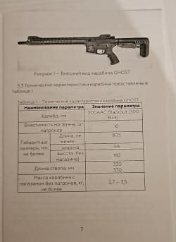 ar 15   300 Blackout