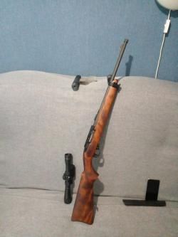 Armscor ria 22