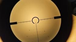 ATA Arms ALR 308 win