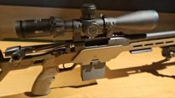 ATA Arms ALR 308 win