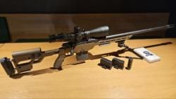 ATA Arms ALR 308 win