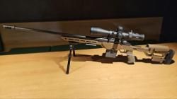 ATA Arms ALR 308 win