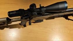 ATA Arms ALR 308 win