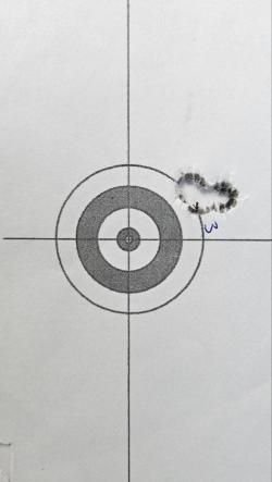 ATA Arms ALR 308 win