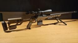 ATA Arms ALR 308 win