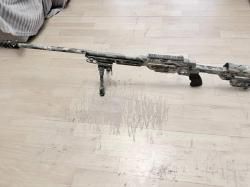 ATA Arms ALR 308 win