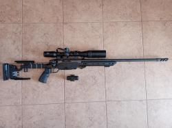 ATA ARMS ALR FS 308 win