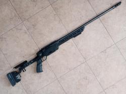 ata arms alr fs 308