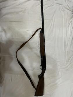 ATA ARMS Companion E