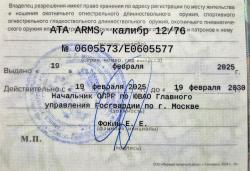 ATA ARMS COMPANION E