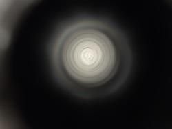 ATA ARMS NEO 12 12x76