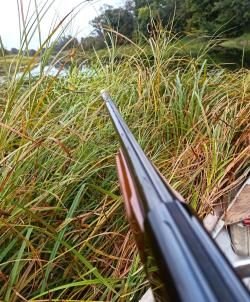 Ata arms neo 12 avto