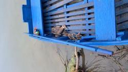 Ata arms neo 12 пластик черный