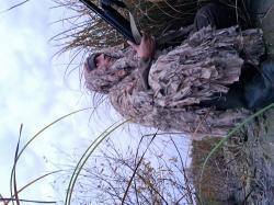 Ata arms neo 12 пластик черный