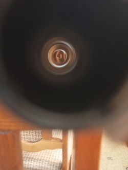 ATA ARMS neo 12r standart wooden(woodcock)