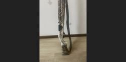 Ata arms neo camo max 4 , калибр 20\76