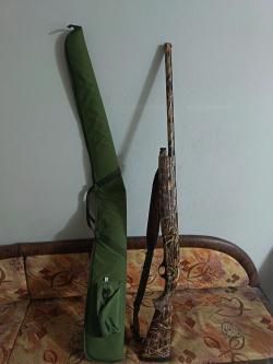 Ата Армс Пегасус