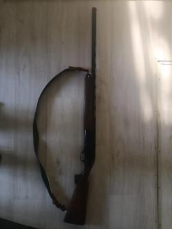 ATA ARMS PEGASUS
