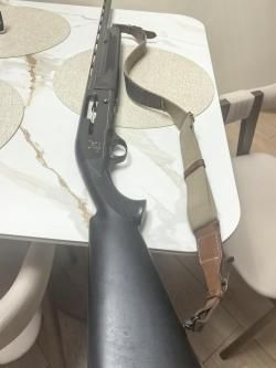 ATA arms Pegasus