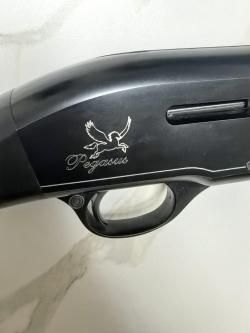 ATA arms Pegasus