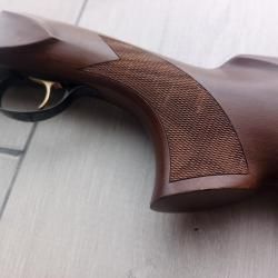 ATA ARMS SP SILVER 760