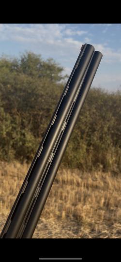 ATA ARMS SUPERSPORT 12/76 L-760mm Цена вниз! 99900р. Срочно! Актуально до 15.09.2025г