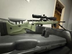 ATA arms Turqua PT .308 win. 