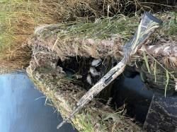 ATA neo 12, Ата нео 12