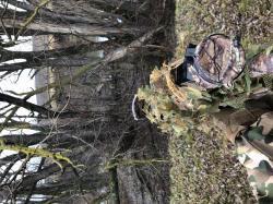 Ataman M20 (Атаман М20) 6,35 полнотел