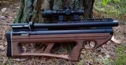 Айбон коротыш, 0 дж