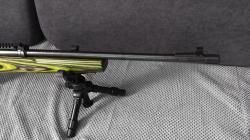 Baikal 141 Соболь; .22 LR; 550мм/ Ламинат, Орех