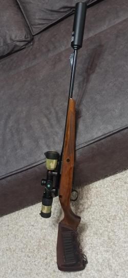 Baikal 145, Лось 145 , 308 Win