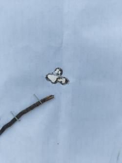 Baikal 145 Лось Тактика 7,62x51 (308 Win) L=420